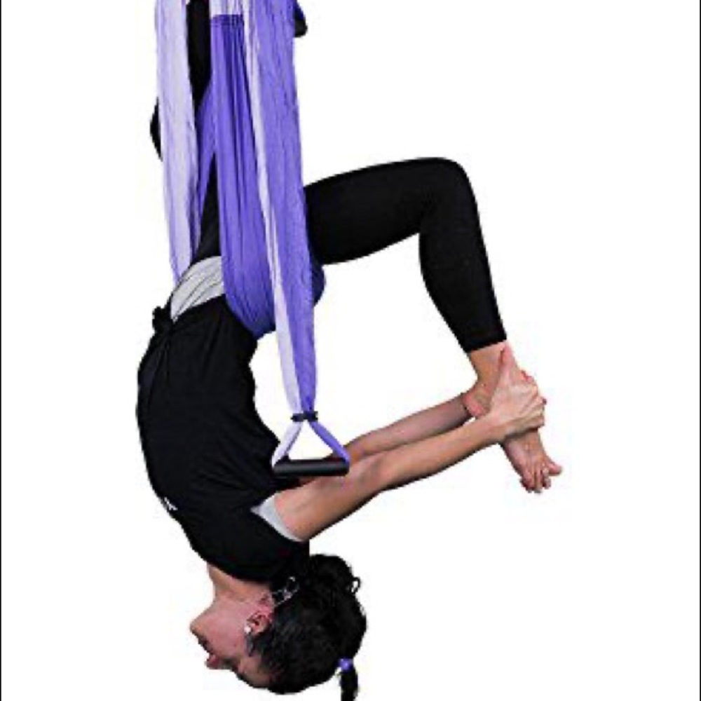 SOLD Trapeze swing